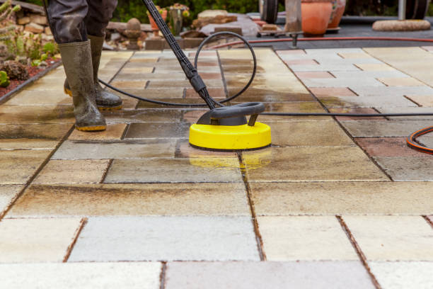 Best Soft Washing for Delicate Surfaces in De Leon, TX